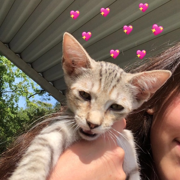 Meet your Posher, Farren - Picture 1 of 1